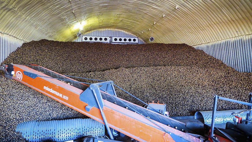 Вентиляционное и холодильное оборудование для картофелехранилища на 12000 тонн