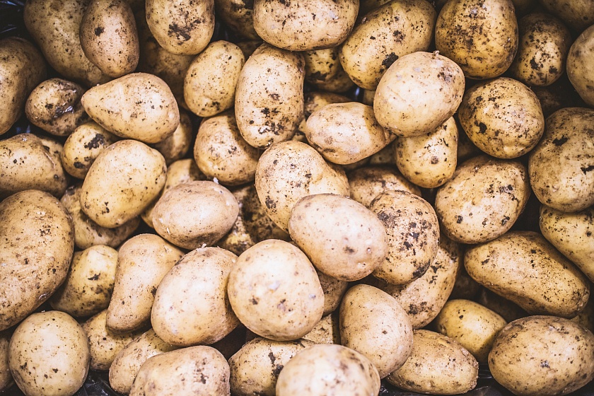 Зачем обеспечивать длительное хранение картофеля