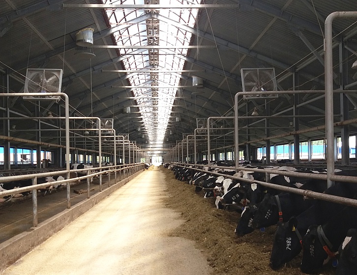 Свердловская область. Микроклимат для молочно-товарной фермы на 1800 фуражных коров