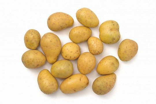 Картофелехранилище: лайфхаки и рекомендации