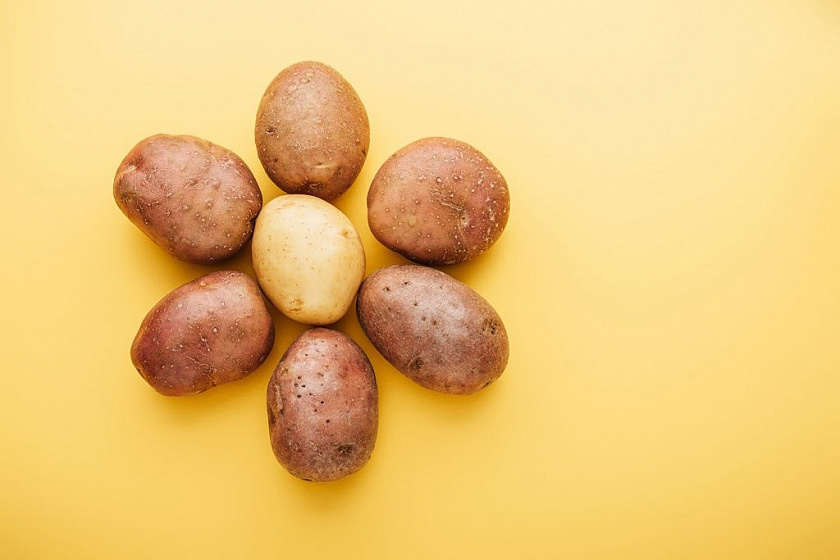 6 вызовов, стоящих перед картофельной отраслью